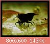         

:  s1.JPG
:  316
:  143,1 KB