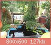         

:  100_0318.jpg
:  1014
:  127,3 KB