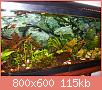         

:  100_0855.jpg
:  324
:  114,7 KB
