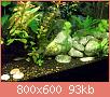         

:  100_0879.jpg
:  326
:  93,4 KB