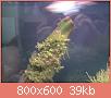         

:  IMG170.jpg
:  338
:  39,3 KB