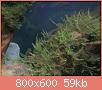         

:  IMG171.jpg
:  363
:  58,7 KB