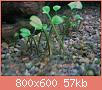         

:  IMG172.jpg
:  323
:  57,1 KB