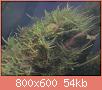         

:  IMG173.jpg
:  358
:  53,9 KB