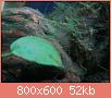         

:  IMG174.jpg
:  342
:  51,8 KB