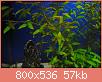         

:  DSC_0004.jpg
:  160
:  57,0 KB