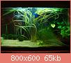         

:  DSC01061.jpg
:  396
:  64,8 KB