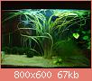         

:  DSC01062.jpg
:  385
:  67,0 KB