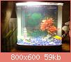         

:  111113_040205.jpg
:  168
:  59,5 KB