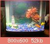         

:  111113_040303.jpg
:  167
:  52,3 KB