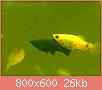         

:  081120111237.jpg
:  230
:  26,2 KB