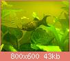         

:  131120111260.jpg
:  215
:  42,8 KB