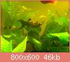         

:  131120111257.jpg
:  214
:  46,5 KB