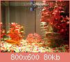         

:  DSC00097.jpg
:  614
:  79,6 KB
