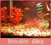         

:  DSC00100.jpg
:  585
:  68,3 KB