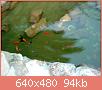         

:  DSC00683.JPG
:  214
:  94,3 KB