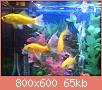         

:  DSC00641.jpg
:  235
:  65,2 KB