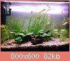         

:  DSC00627.jpg
:  536
:  82,1 KB