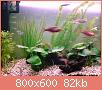         

:  DSC00628.jpg
:  483
:  82,0 KB