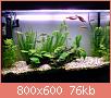         

:  DSC00642.jpg
:  487
:  75,6 KB
