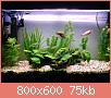         

:  DSC00643.jpg
:  454
:  75,4 KB