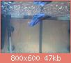         

:  DSC00151.jpg
:  434
:  46,6 KB