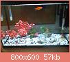         

:  DSC00149.jpg
:  333
:  57,1 KB