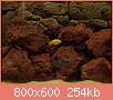         

:  P1210022_resize.JPG
:  735
:  254,5 KB