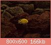         

:  P1210029_resize.JPG
:  672
:  165,7 KB