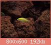         

:  305218_10150345091387849_758397848_8066398_464549937_n_resize.jpg
:  570
:  191,6 KB