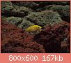         

:  309548_10150345092462849_758397848_8066415_1079182228_n_resize.jpg
:  589
:  166,8 KB