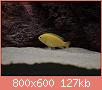         

:  317647_10150345091697849_758397848_8066402_177652207_n_resize.jpg
:  560
:  127,0 KB