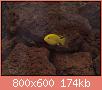         

:  P1210032_resize.JPG
:  526
:  174,5 KB