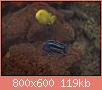         

:  P1210038_resize.JPG
:  578
:  119,1 KB