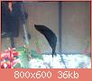         

:  DSC00160.jpg
:  314
:  36,2 KB