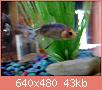         

:  Snapshot_20120107_1.JPG
:  223
:  42,9 KB