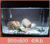         

:  DSC00173.jpg
:  456
:  48,6 KB