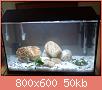         

:  DSC00174.jpg
:  421
:  49,5 KB