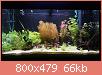         

:  IMAG0028.jpg
:  238
:  66,4 KB
