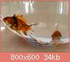         

:  DSC00122.jpg
:  252
:  33,6 KB