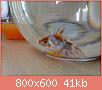         

:  DSC00123.jpg
:  250
:  41,3 KB