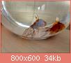         

:  DSC00124.jpg
:  248
:  33,8 KB