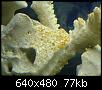         

:  DSC00709.JPG
:  315
:  77,2 KB