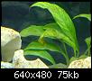        

:  DSC00710.JPG
:  314
:  75,4 KB