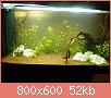         

:  aquarium12.jpg
:  400
:  52,4 KB