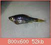         

:  20022012646.jpg
:  210
:  52,3 KB