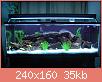        

:  Aquarium Lava Rock.jpg
:  249
:  34,9 KB