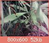         

:  2012-02-29 15.54.42.jpg
:  207
:  51,7 KB