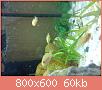         

:  DSC00204.jpg
:  344
:  59,8 KB