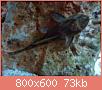         

:  DSC00202.jpg
:  365
:  73,4 KB